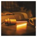 LED žiarovka DECO T30/ E27 / 2 W (11 W) / 100 lm / flame