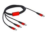 USB kábel - USB-C (M) do USB-C (M) - USB 2.0 - 5 V - 3 A - 1 m - čierna/červená