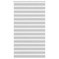 vidaXL Zebra roleta svetlosivá 120x200cm šírka látky 115,9cm polyester