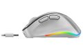 GENIUS Ergo 9000S Pro Silver/ duální Bluetooth + 2,4GHz/ 2400 dpi/ bezdrátová/ 6tlačítková/ dobíjecí/ RGB/ stříbrná Myš, bezdrátová, optická, 2400DPI, 6 tlacítek, Bluetooth, 2,4GHz, USB-C nabíjení, tichá, 7barevné podsvícení, stríbrná