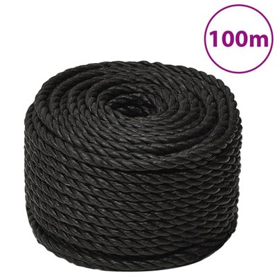 vidaXL Pracovné lano čierne 10 mm 100 m polypropylén