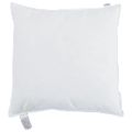 vidaXL Vankúš 2 ks 60 x 60 cm Perie Biela