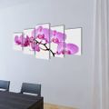 vidaXL Sada obrazov na stenu, motív Orchidea 100 x 50 cm