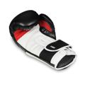 Boxerské rukavice DBX BUSHIDO B-3W Pro