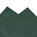 vidaXL Celta, zelená 3x4 m 650 g/m²