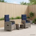 vidaXL Záhradný lounge set 3 ks PE ratan a práškovou lakovanou oceľou