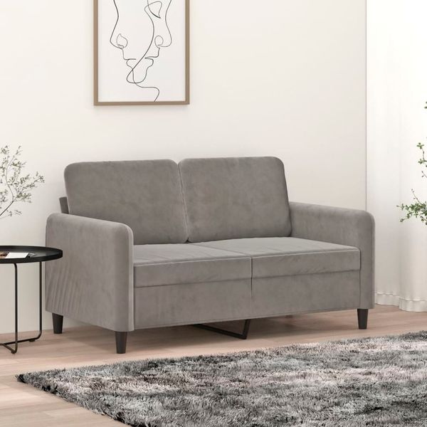 vidaXL 2-miestna pohovka bledosivá 120 cm zamat