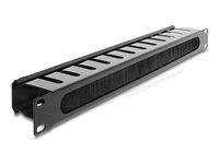 Delock 19" Cable Management Routing Pane