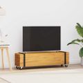 vidaXL TV stolík 110 x 30 x 30 cm Hnedá Husté teakové drevo
