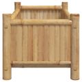 vidaXL Kvetináč 50x30x25 cm bambus