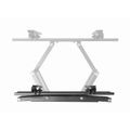 GEMBIRD WM-55ST-04, TV Držiak na stenu, 32"-55"