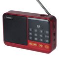 Setty mini FM rádio + Bluetooth reproduktor SFM-01M