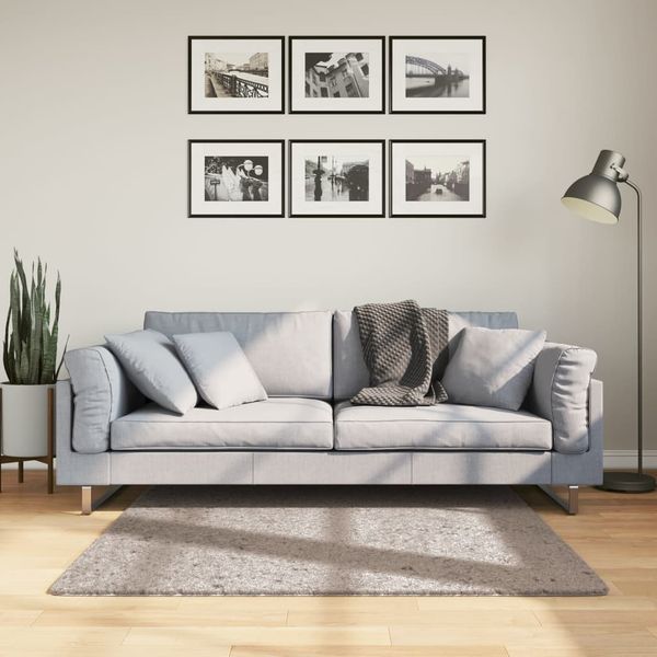 vidaXL Shaggy koberec PAMPLONA, vysoký vlas, moderný, béžový 120x120cm