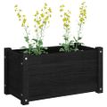 vidaXL Záhradný kvetináč čierny 60x31x31 cm borovicový masív