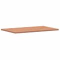 vidaXL Kúpeľňová doska 100x60x2,5 cm masívny buk