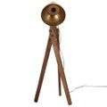 vidaXL Podlahová lampa 25 W starožitná mosadzná 45x45x120 cm E27