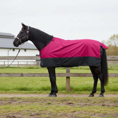 vidaXL Plášť pre kone Ružová a čierna 75 cm Polyester
