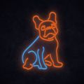 MANTA Pes buldoček, LED Neon plexi dekorácia