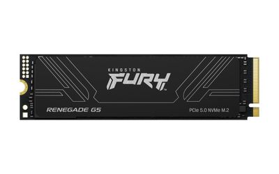 Kingston Fury Renegade G5/4TB/SSD/M.2 NVMe/Čierna/Heatsink/5R