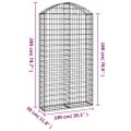 vidaXL Oblúkový gabionový kôš 100x30x180/200 cm pozinkované železo