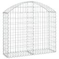 vidaXL Oblúkový gabionový kôš 100x30x80/100 cm pozinkované železo