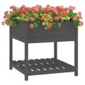 vidaXL Kvetináč s policou sivý 82,5x82,5x81 cm masívna borovica