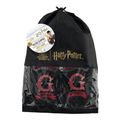 Papuce Harry Potter - Nebelvír