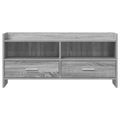 vidaXL TV skrinka 100 x 33 x 47 cm Sivý Sonoma Kompozitné drevo