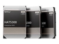Pevný disk - 12 TB - interný - 3.5" - SATA 6Gb/s - 7200 ot/min. - vyrovnávacia pamäť: 256 MB - pre Deep Learning NVR DVA3221; Disk Station DS1621, DS1821; RackStation RS1221, RS3621, RS4021