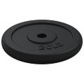 vidaXL Závažie 40 kg liatina