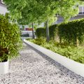 vidaXL Obrubník trávnika 10 ks 25 x 103 cm Biela