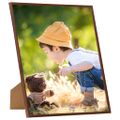 vidaXL Fotorámiky na stôl, koláž 5 ks, bronzové 20x20 cm, MDF