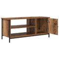 vidaXL TV skrinka 100 x 40 x 45 cm Staré drevo Kompozitné drevo