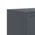 vidaXL TV skrinka antracit 100,5x39x43,5 cm oceľ