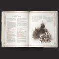 The Lord of the Rings RPG 5E: Trials of Saruman