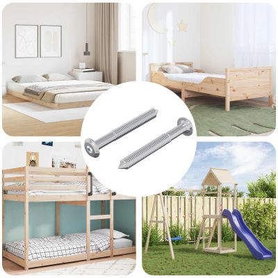 vidaXL Skrutka 2 pcs Strieborná M6 x 50 mm Oceľ