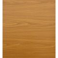vidaXL Záhradná kôlňa svetlohnedé 191x640x198 cm pozinkovaná oceľ