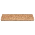 vidaXL Schodové rohože 10 ks 65x21x4 cm béžové s obdĺžnikovým okrajom