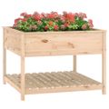 vidaXL Kvetináč s policou 111,5x111,5x81 cm masívna borovica