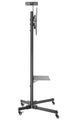 Neomounts PLASMA-M1700E / Mobile Flat Screen Floor Stand (height: 154-170 cm) / Black Stojan, pojízdný, VESA, pro LCD a TV 32"-70", nosnost 50kg, výška 154-170cm, náklon 20°, 2 police, cerný
