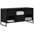 vidaXL TV skrinka 100 x 36 x 49,5 cm Čierny dub Kompozitné drevo
