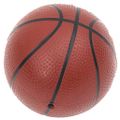 vidaXL 5-dielna sada basketbalového koša na stenu s doskou 66x44,5 cm