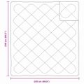 vidaXL 2-v-1 Prikrývka 240 x 220 x 8 cm Zima Polyester Biela Priedušná