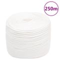 vidaXL Lodné lano biele 8 mm 250 m polypropylén