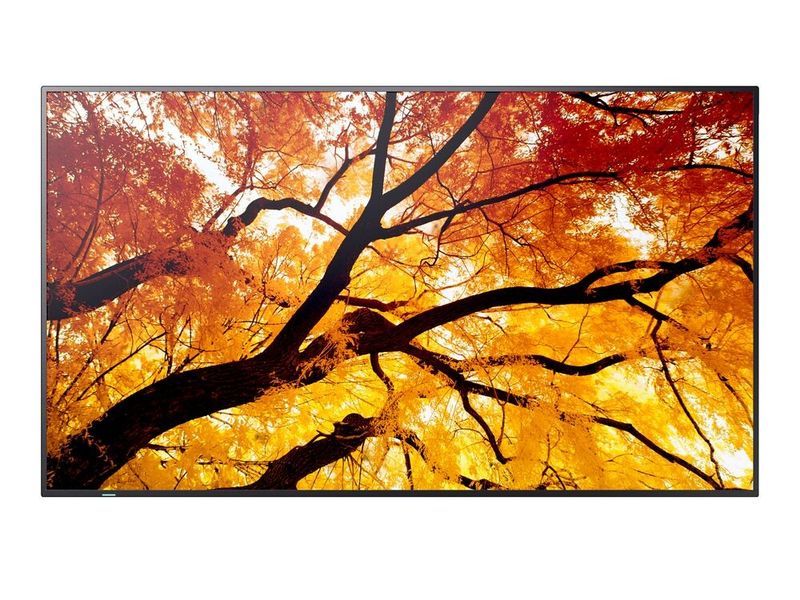 65'' LED SHARP M652,3840x2160,IPS,24/7,550cd