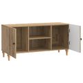 vidaXL TV skrinka 102 x 34,5 x 50 cm Dub artisan Kompozitné drevo