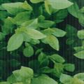 vidaXL PVC lišty na ochranu súkromia 140x0,19 m zelené