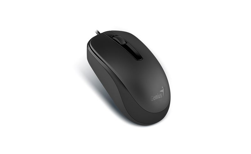 GENIUS DX-120/Kancelárska/Optická/1 200 DPI/Drôtová USB/Čierna