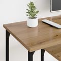 vidaXL TV skrinka 102 x 35 x 45,5 cm Remeselný dub