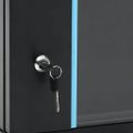 vidaXL 9U Nástenná serverová skriňa 19" 600x450x510 mm IP20